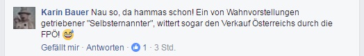 1612191522-fb-zistler-karin-bauer-selbsernannter