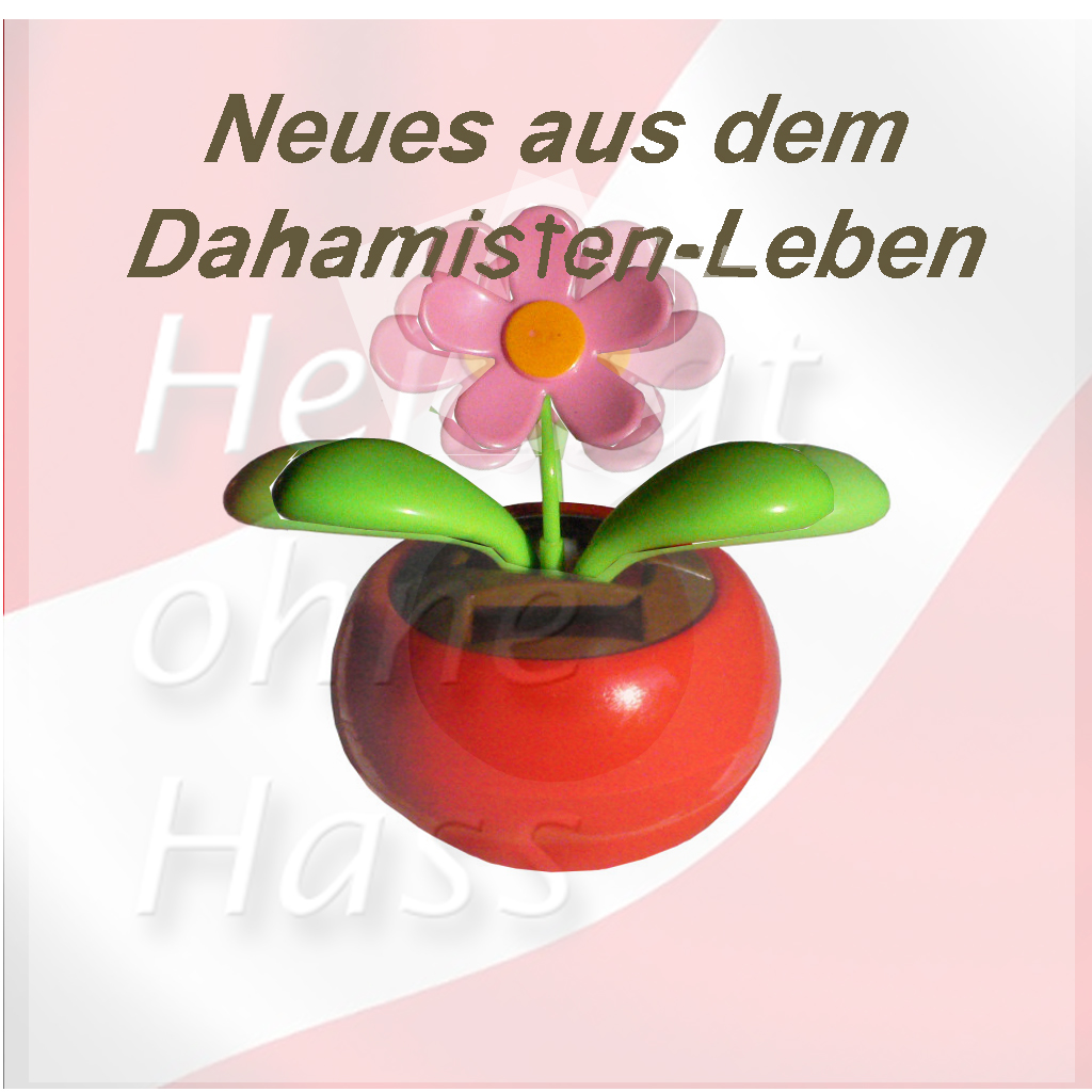 hoh-1024_1024-dahamisten-leben