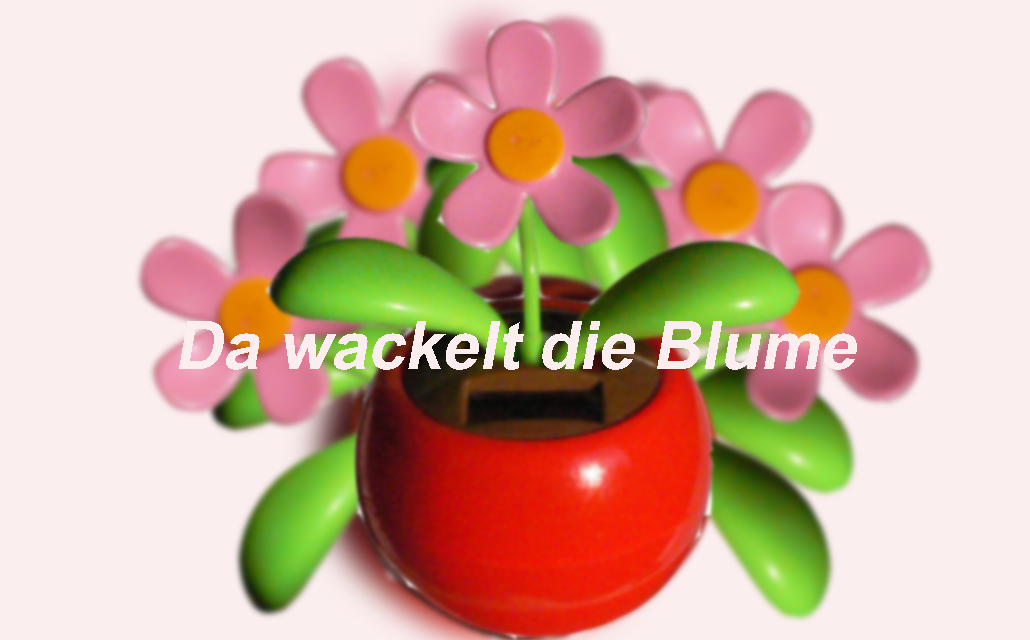 da-wackelt-die-blume