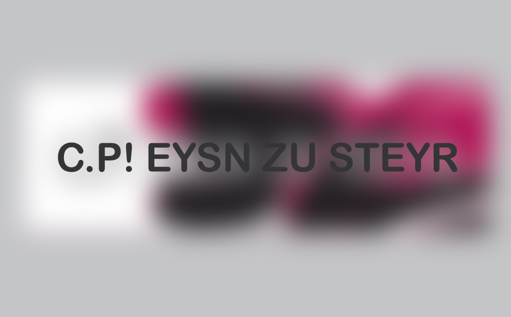 eysn-zu-steyr01
