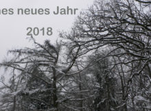 frohes-neues-jahr-2018-1030-540