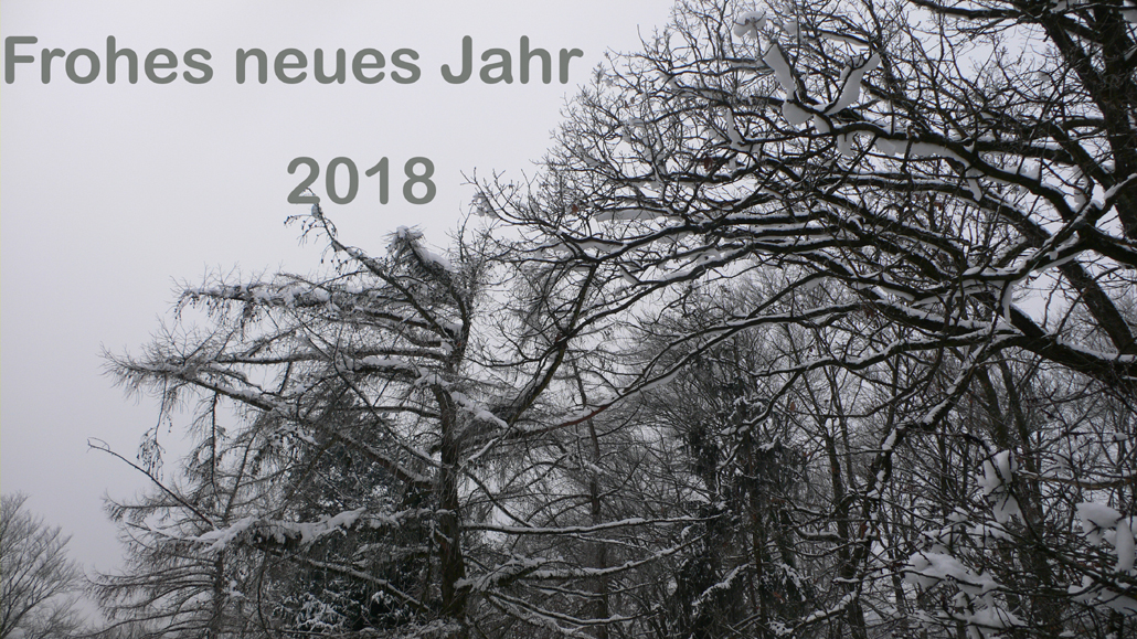 frohes-neues-jahr-2018-1030-540